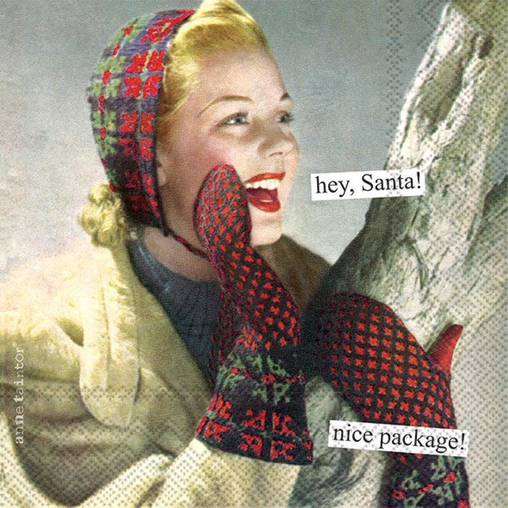 'Hey Santa, Nice Package' by Anne Taintor Holiday Cocktail Napkins (Pack of 20) by Boston International