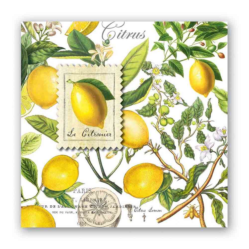 Lemon Basil Cocktail Napkins (Pack of 20) by Michel Design Works